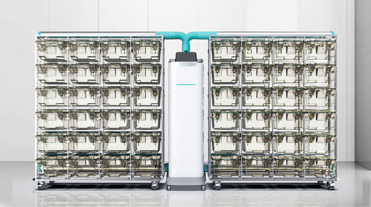 大鼠独立通气笼架