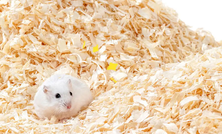 不起眼的垫料1.jpg 不起眼的垫料1.jpg